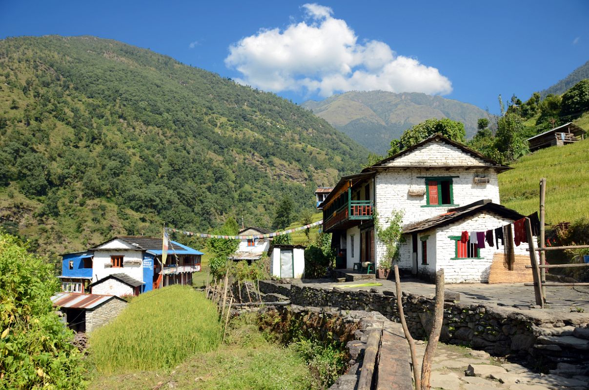 Nayapul To Ghorepani 11 Hille 